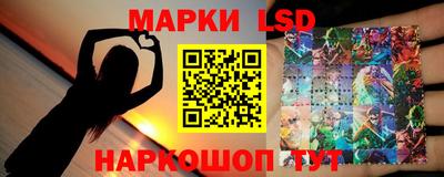 крисы Шахты