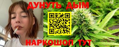 крисы Шахты