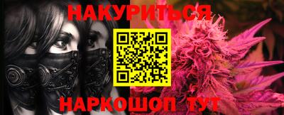 крисы Шахты