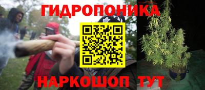 крисы Шахты