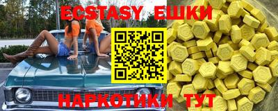 крисы Шахты