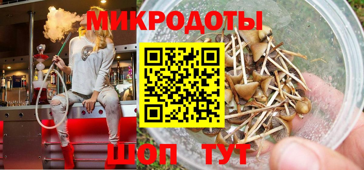 Галлюциногенные грибы Psilocybine cubensis Белая Калитва