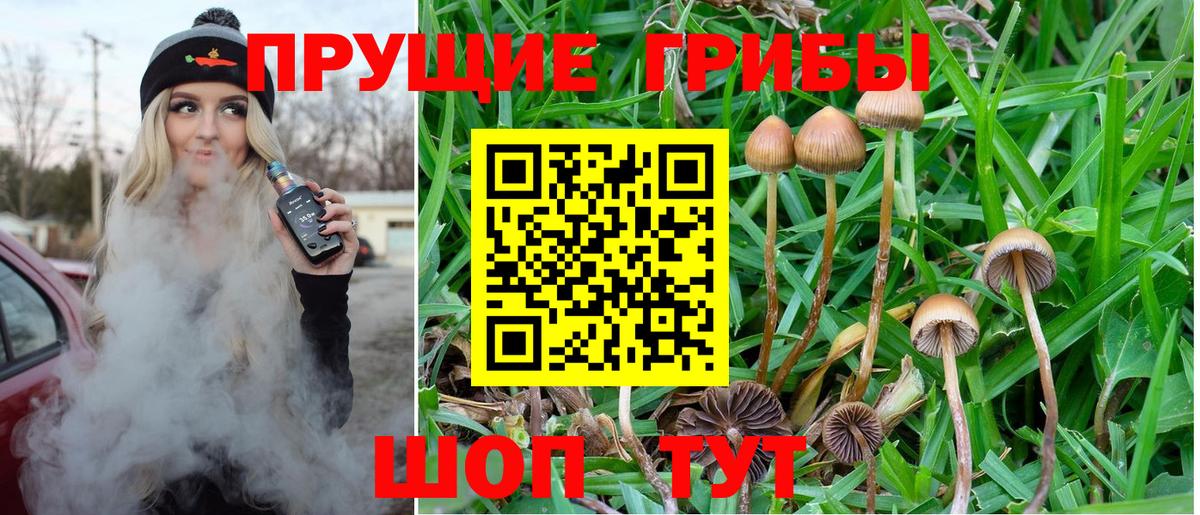 Белая Калитва  Псилоцибиновые грибы MAGIC MUSHROOMS  Вход с VPN 